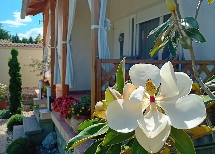 Magnolia Vendeghaz Lejlighed *